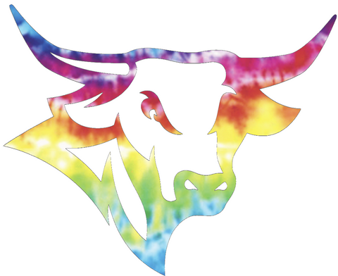 Nebraska Omaha Mavericks Mascot Logo Crucial Catch Cancer Tie Dye Vinyl Decal PICK SIZE