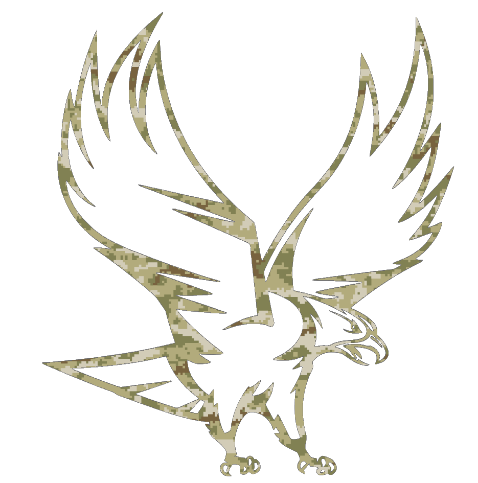 NCCU Eagles Team Logo Salute to Service Camouflage Camo Vinyl Decal PICK SIZE