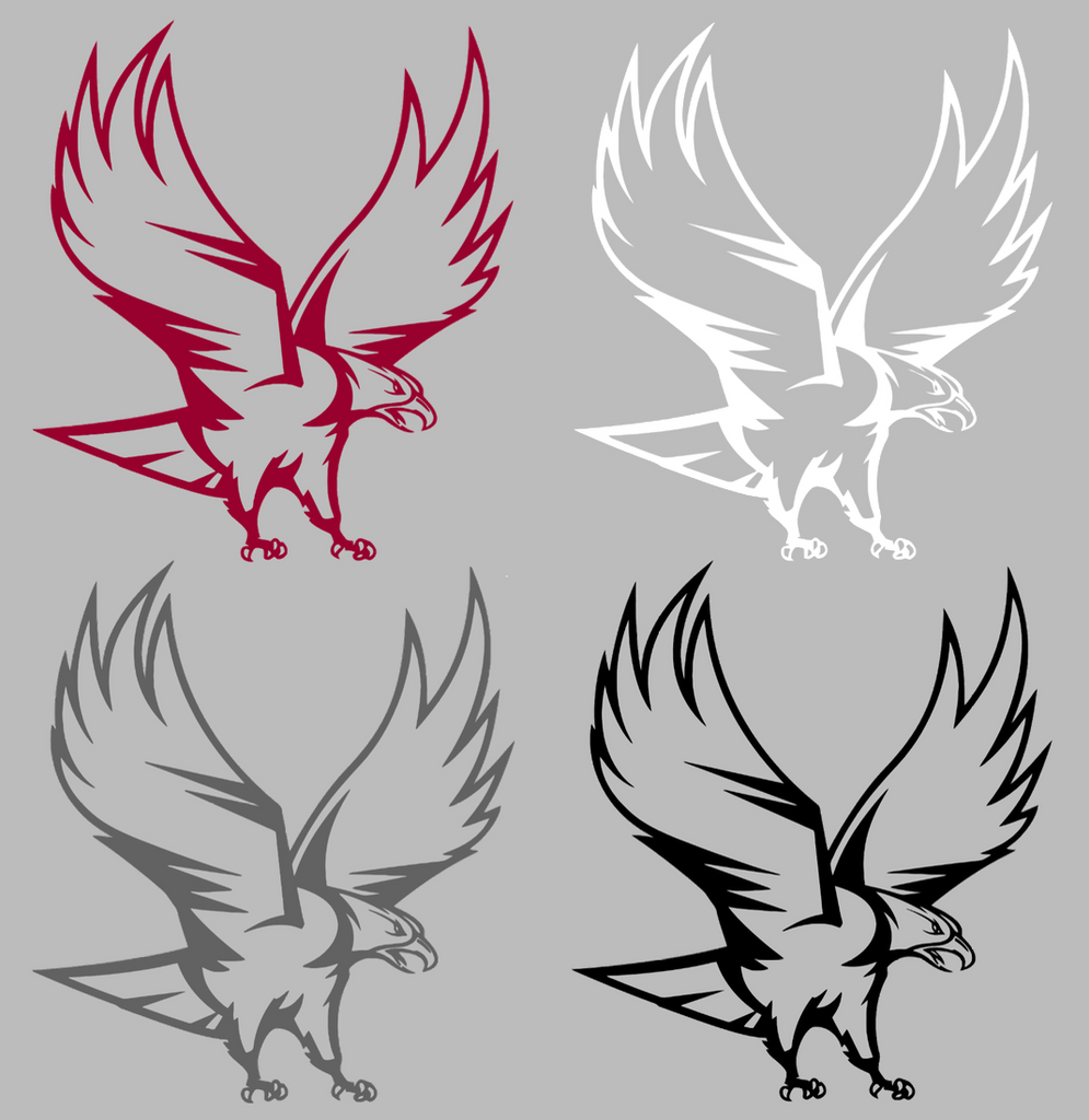 NCCU Eagles Team Logo Premium DieCut Vinyl Decal PICK COLOR & SIZE