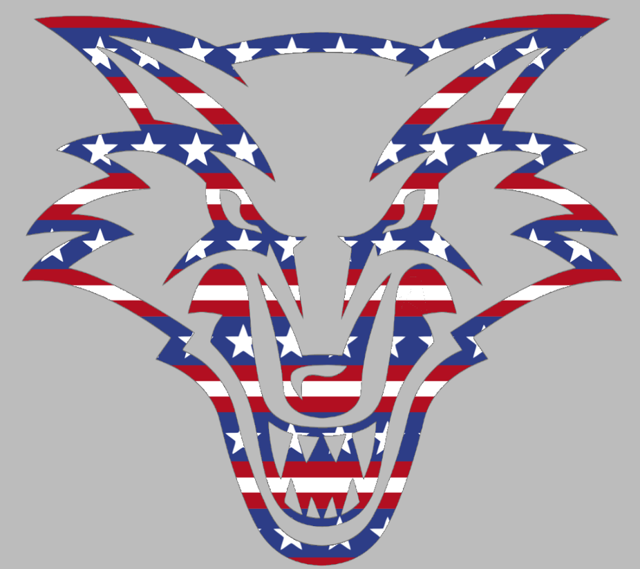 New Mexico Lobos Team Logo Stars & Stripes USA American Flag Vinyl Decal PICK SIZE