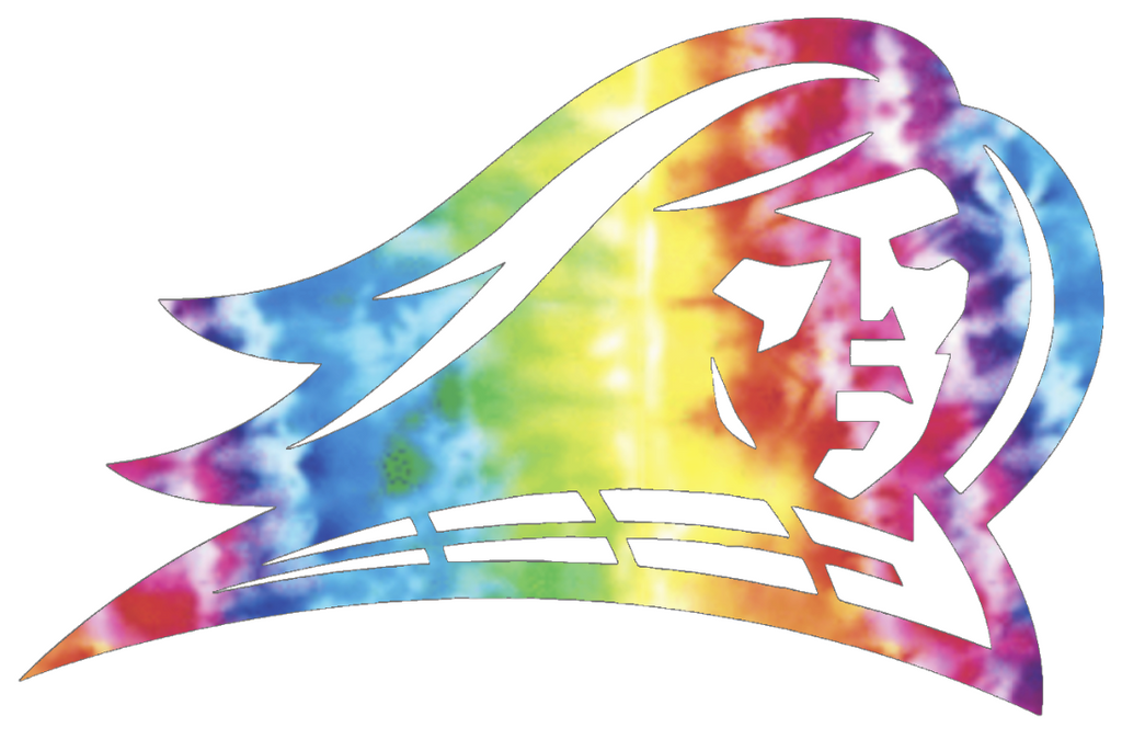 NJIT Highlanders Team Logo Crucial Catch Cancer Tie Dye Vinyl Decal PICK SIZE