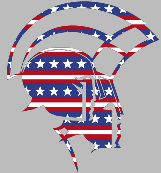 Norfolk State Spartans Team Logo Stars & Stripes USA American Flag Vinyl Decal PICK SIZE