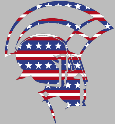 Norfolk State Spartans Team Logo Stars & Stripes USA American Flag Vinyl Decal PICK SIZE
