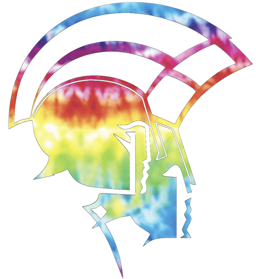 Norfolk State Spartans Team Logo Crucial Catch Cancer Tie Dye Vinyl Decal PICK SIZE