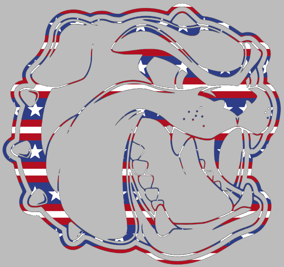 North Carolina Asheville Bulldogs Team Logo Stars & Stripes USA American Flag Vinyl Decal PICK SIZE