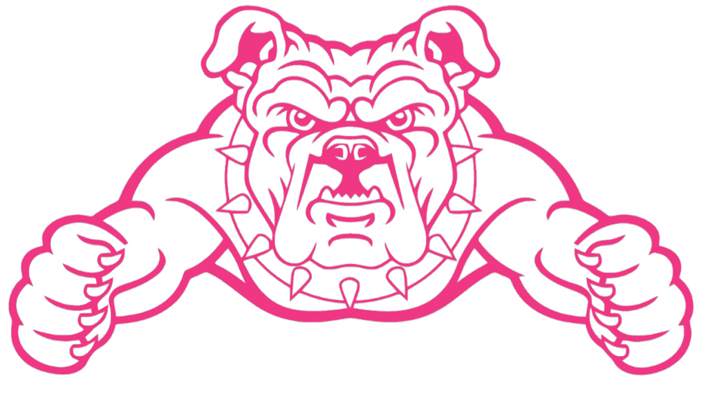 North Carolina AT&T Aggies HOT PINK Team Logo Premium DieCut Vinyl Decal PICK SIZE