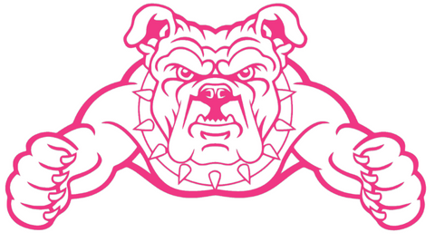 North Carolina AT&T Aggies HOT PINK Team Logo Premium DieCut Vinyl Decal PICK SIZE