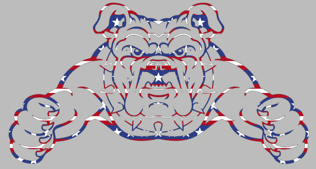 North Carolina AT&T Aggies Team Logo Stars & Stripes USA American Flag Vinyl Decal PICK SIZE