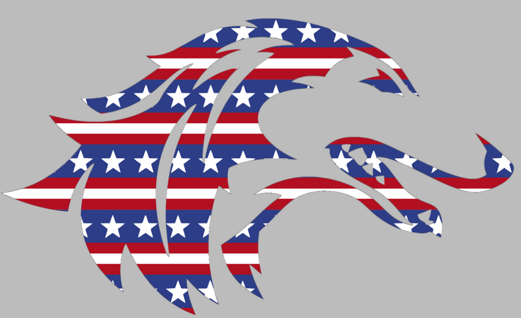 Southern Illinois Salukis Team Logo Stars & Stripes USA American Flag Vinyl Decal PICK SIZE
