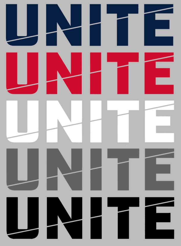 Robert Morris Colonials Unite Logo Premium DieCut Vinyl Decal PICK COLOR & SIZE