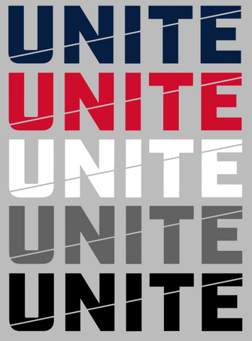 Robert Morris Colonials Unite Logo Premium DieCut Vinyl Decal PICK COLOR & SIZE