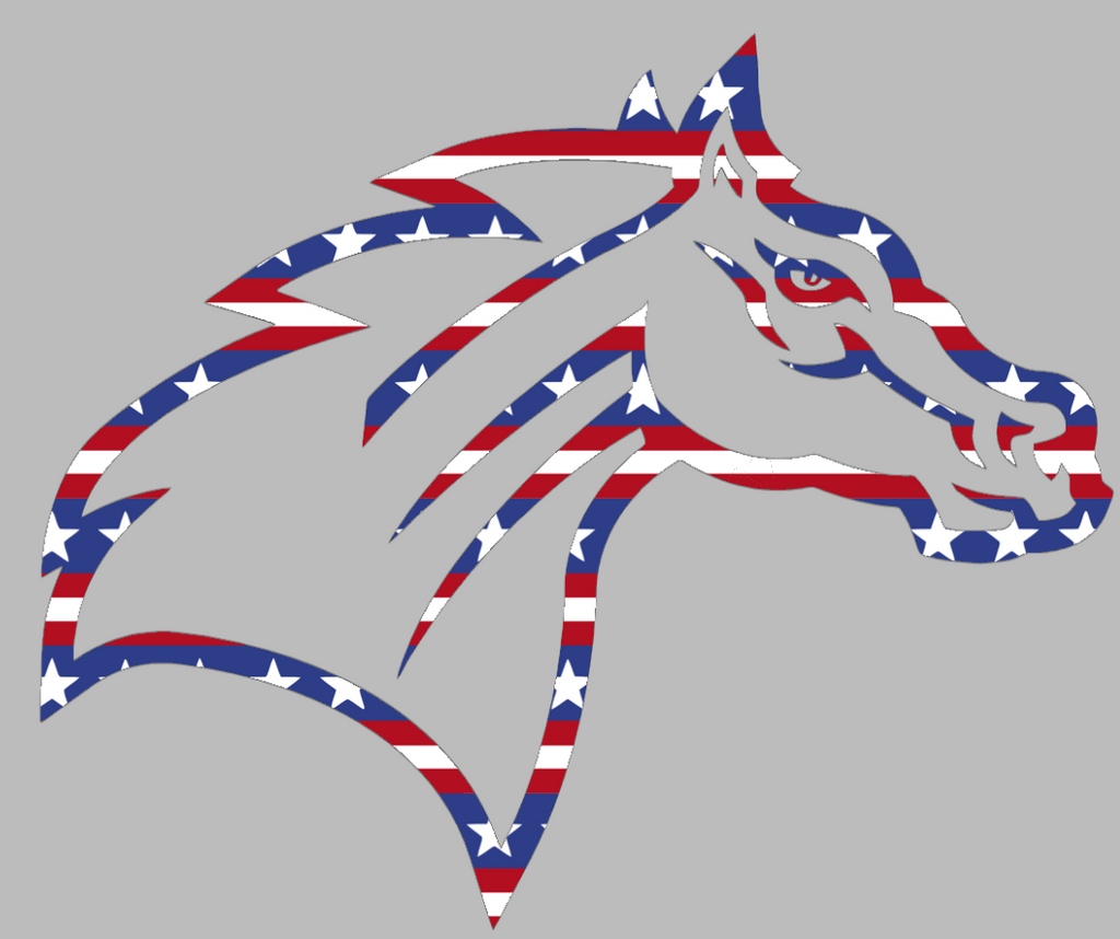 Rider Broncos Team Logo Stars & Stripes USA American Flag Vinyl Decal PICK SIZE