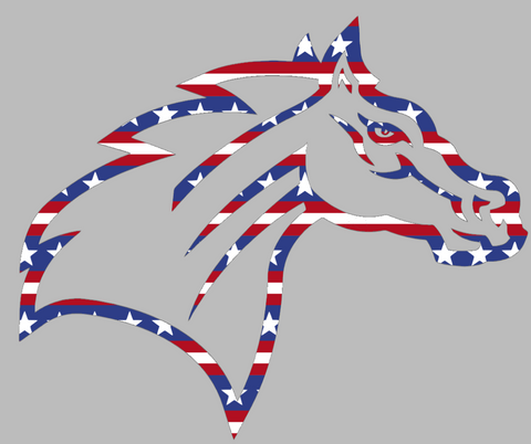 Rider Broncos Team Logo Stars & Stripes USA American Flag Vinyl Decal PICK SIZE