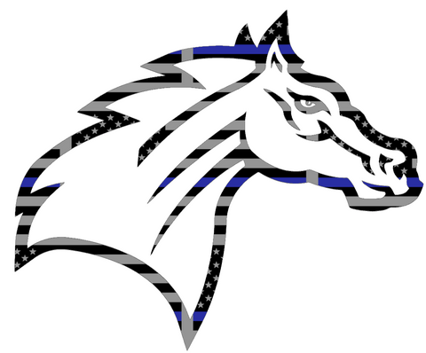 Rider Broncos Team Logo Thin Blue Line American Flag Premium DieCut Vinyl Decal PICK SIZE