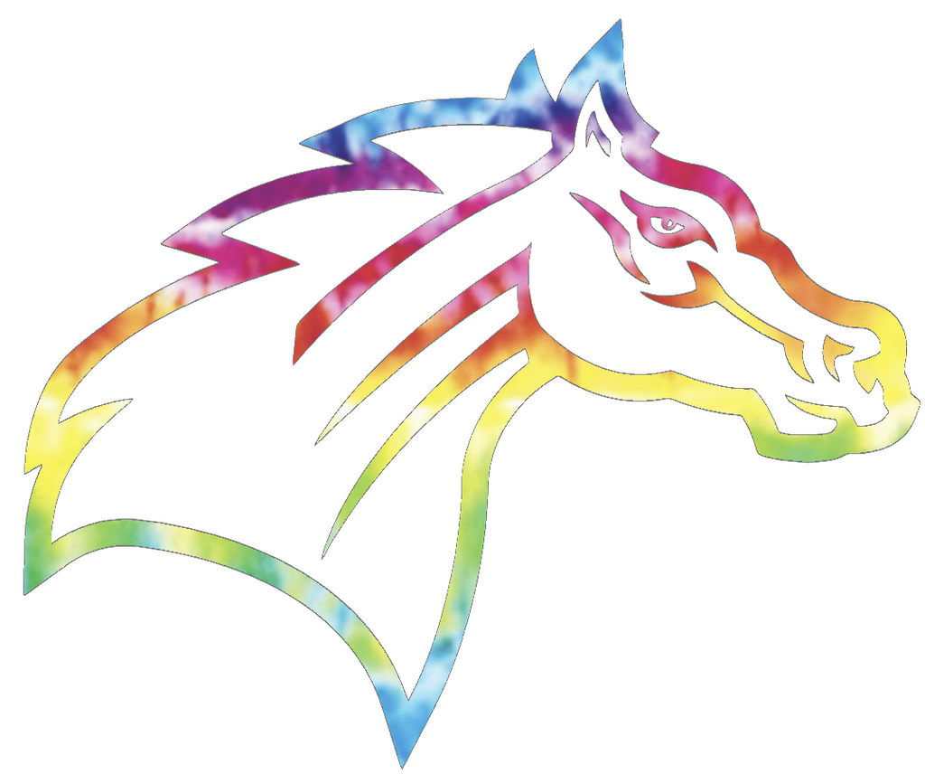 Rider Broncos Team Logo Crucial Catch Cancer Tie Dye Vinyl Decal PICK SIZE