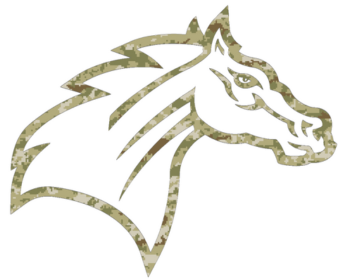 Rider Broncos Team Logo Salute to Service Camouflage Camo Vinyl Decal PICK SIZE