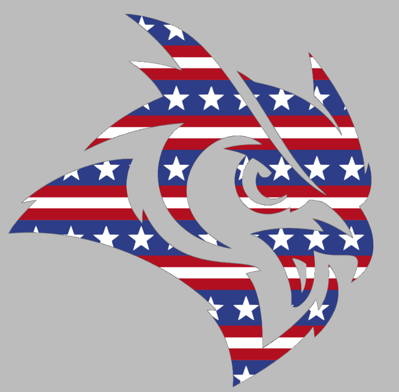 Rice Owls Mascot Logo Stars & Stripes USA American Flag Vinyl Decal PICK SIZE