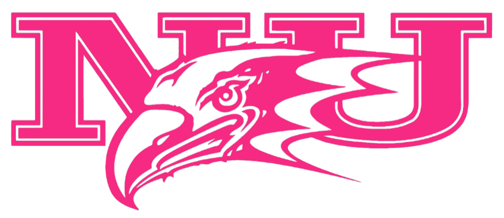 Niagra Purple Eagles HOT PINK Team Logo Premium DieCut Vinyl Decal PICK SIZE
