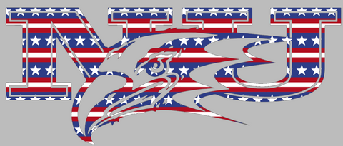 Niagra Purple Eagles Team Logo Stars & Stripes USA American Flag Vinyl Decal PICK SIZE