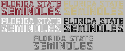 Florida State Seminoles Team Name Logo Premium DieCut Vinyl Decal PICK COLOR & SIZE