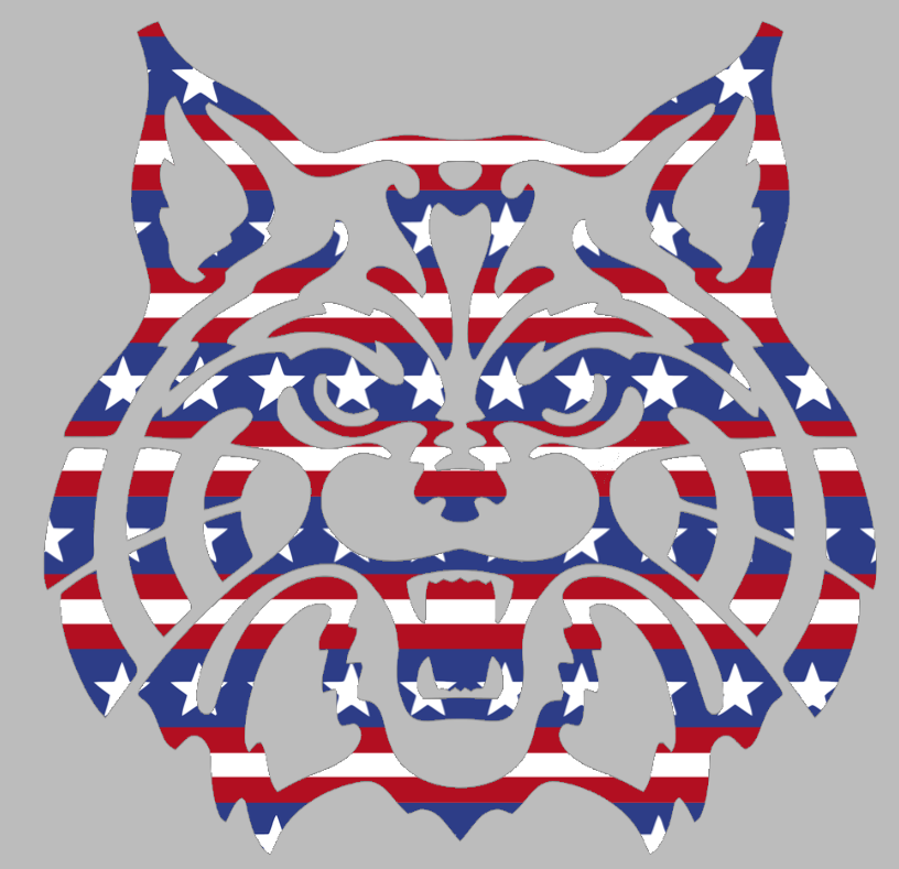 Arizona Wildcats Mascot Logo Stars & Stripes USA American Flag Vinyl Decal PICK SIZE