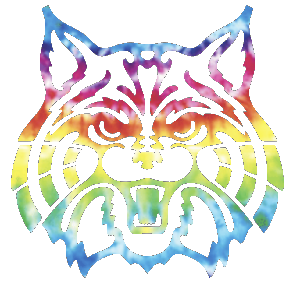 Arizona Wildcats Mascot Logo Crucial Catch Cancer Tie Dye Vinyl Decal PICK SIZE