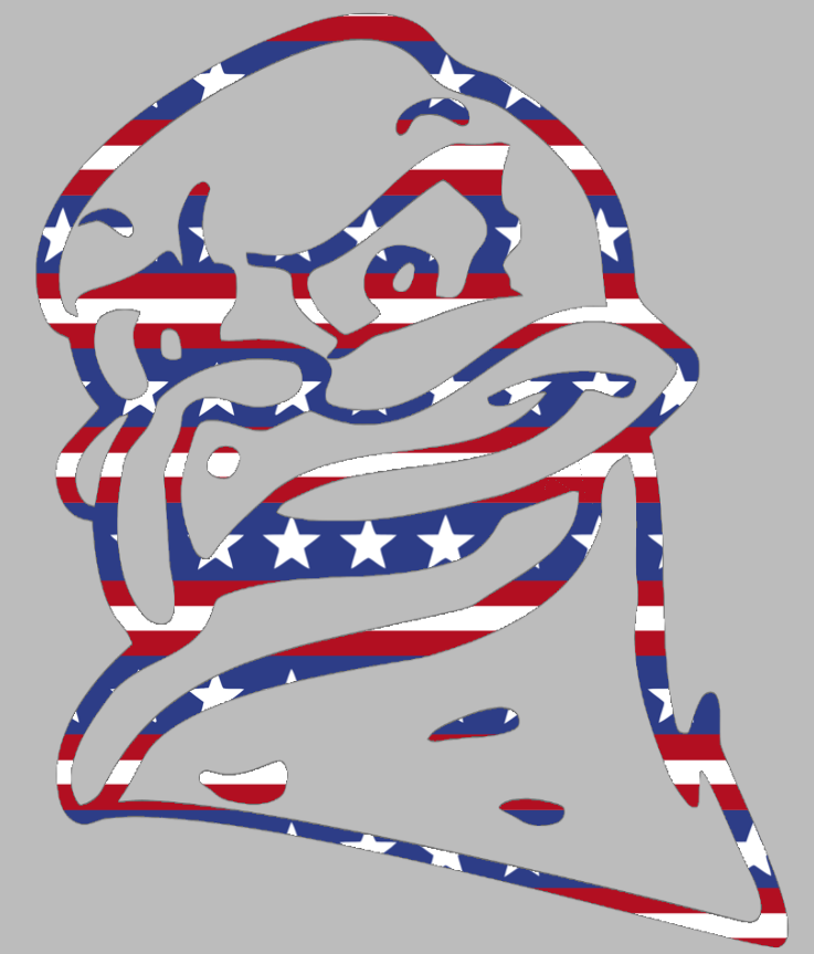 Virginia Tech Hokies HokieBird Mascot Logo Stars & Stripes USA American Flag Vinyl Decal PICK SIZE