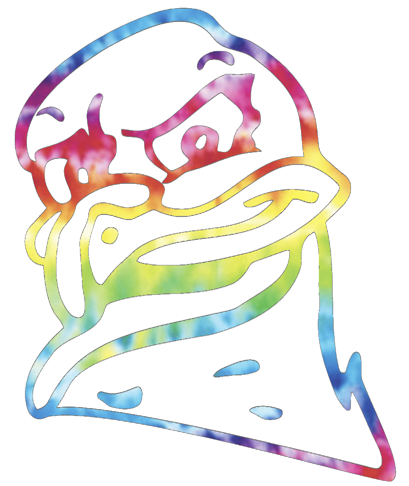 Virginia Tech Hokies HokieBird Mascot Logo Crucial Catch Cancer Tie Dye Vinyl Decal PICK SIZE