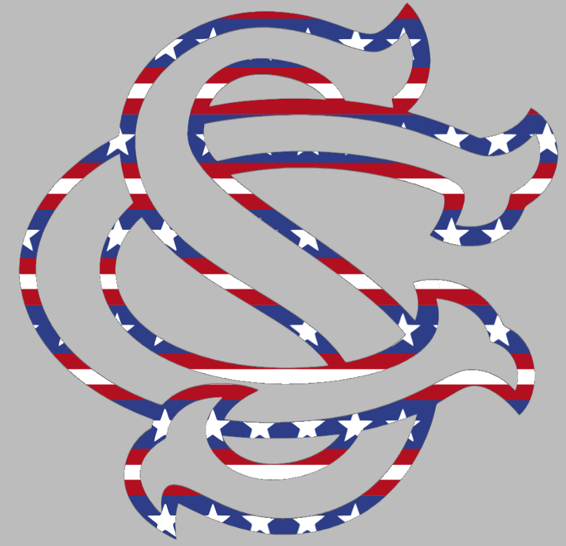 South Carolina Gamecocks SC Logo Stars & Stripes USA American Flag Vinyl Decal PICK SIZE