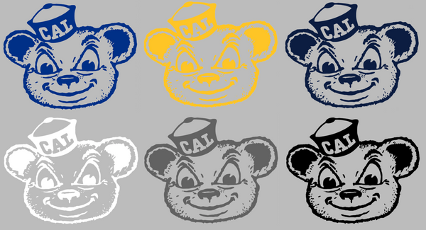 Cal California Golden Bears Retro Throwback Premium DieCut Vinyl Decal PICK COLOR & SIZE