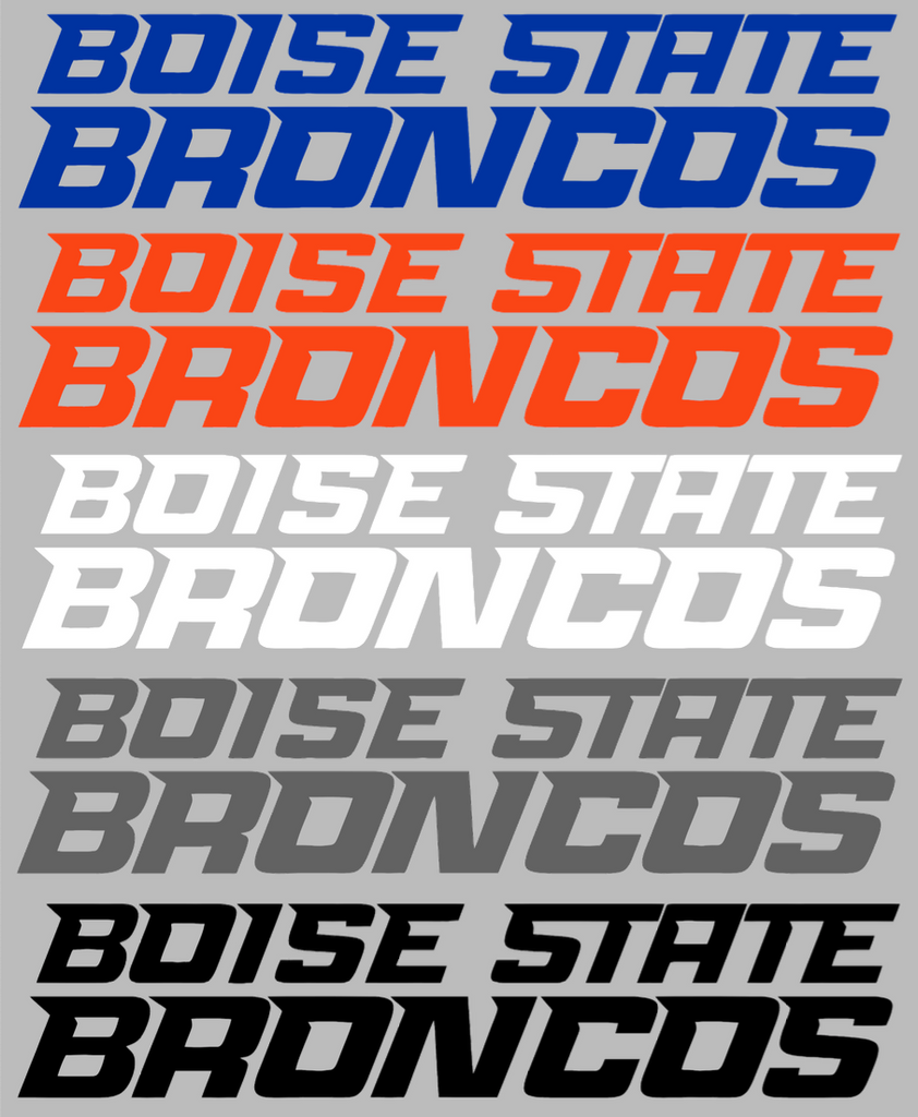 Boise State Broncos Team Name Logo Premium DieCut Vinyl Decal PICK COLOR & SIZE