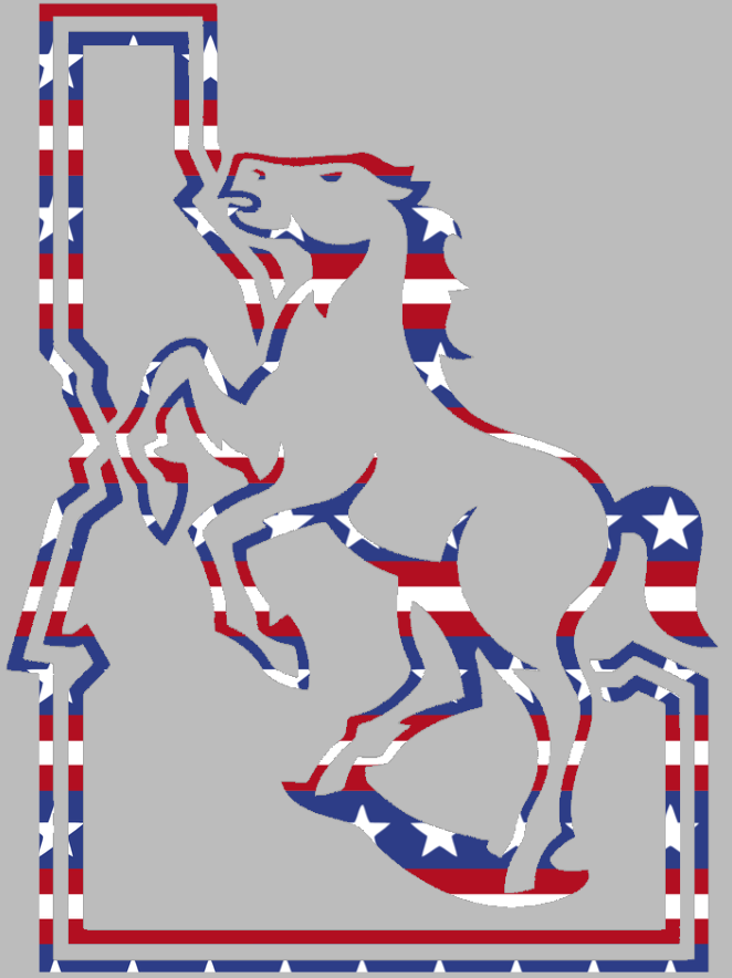 Boise State Broncos Retro Logo Stars & Stripes USA American Flag Vinyl Decal PICK SIZE