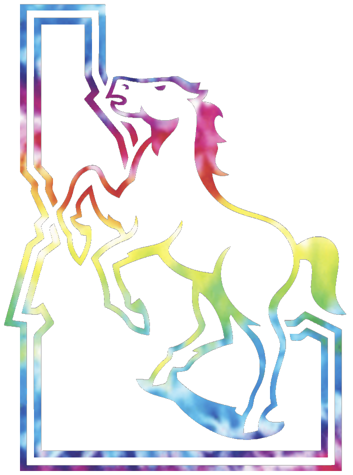 Boise State Broncos Retro Logo Crucial Catch Cancer Tie Dye Vinyl Decal PICK SIZE