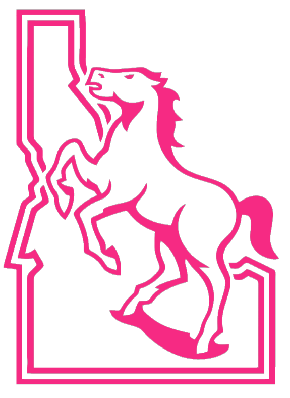 Boise State Broncos HOT PINK Retro Logo Premium DieCut Vinyl Decal PICK SIZE