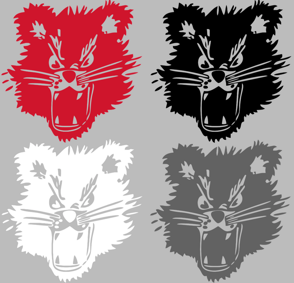 Cincinnati Bearcats Retro Throwback Logo Premium DieCut Vinyl Decal PICK COLOR & SIZE