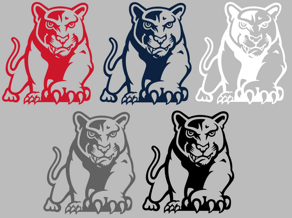 Houston Cougars Retro Throwback Logo Premium DieCut Vinyl Decal PICK COLOR & SIZE
