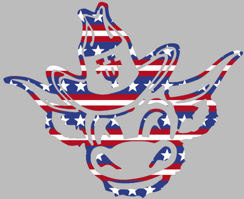 Texas Longhorns Retro Throwback Logo Stars & Stripes USA American Flag Vinyl Decal PICK SIZE