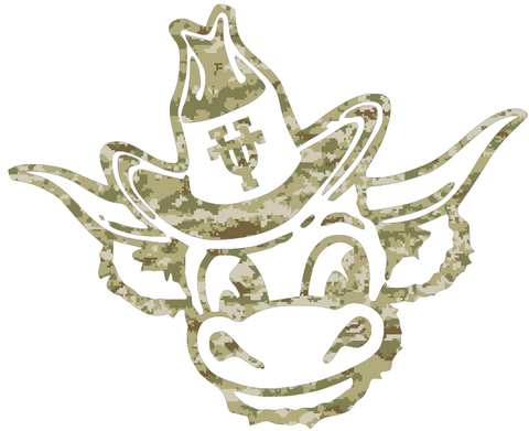 Texas Longhorns Retro Throwback Logo Salute to Service Camouflage Camo Vinyl Decal PICK SIZE