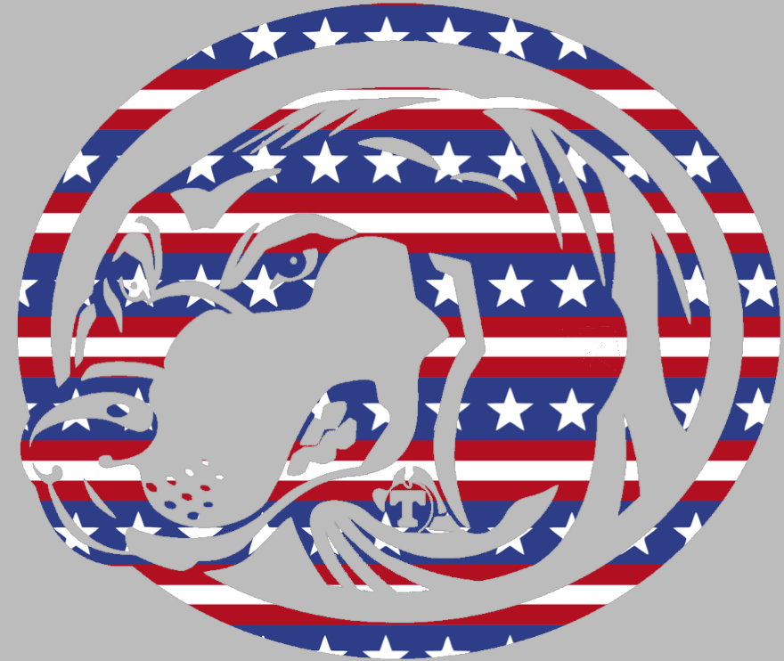 Tennessee Volunteers Mascot Logo Stars & Stripes USA American Flag Vinyl Decal PICK SIZE