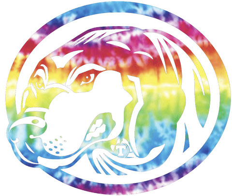 Tennessee Volunteers Smokey Mascot Logo Crucial Catch Cancer Tie Dye Vinyl Decal PICK SIZE