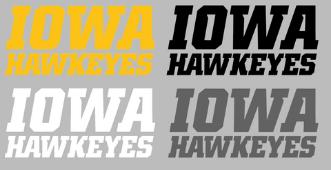 Iowa Hawkeyes Team Name Logo Premium DieCut Vinyl Decal PICK COLOR & SIZE