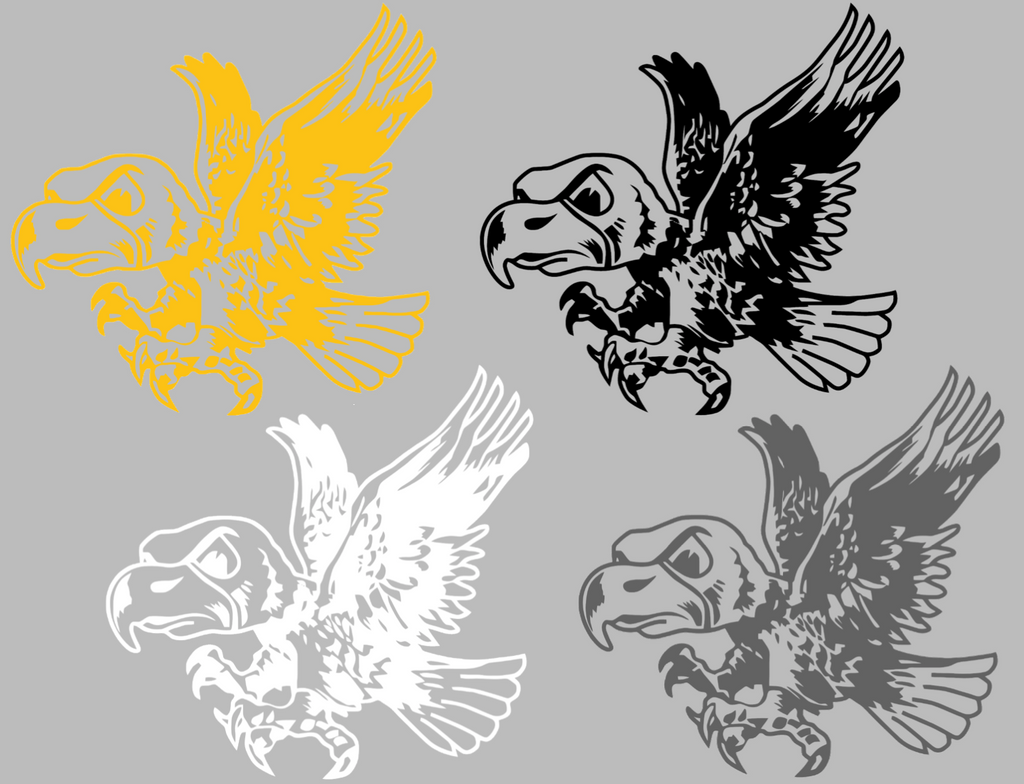 Iowa Hawkeyes Retro Throwback Logo Premium DieCut Vinyl Decal PICK COLOR & SIZE