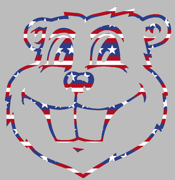 Minnesota Golden Gophers Goldy Mascot Head Logo Stars & Stripes USA American Flag Vinyl Decal PICK SIZE