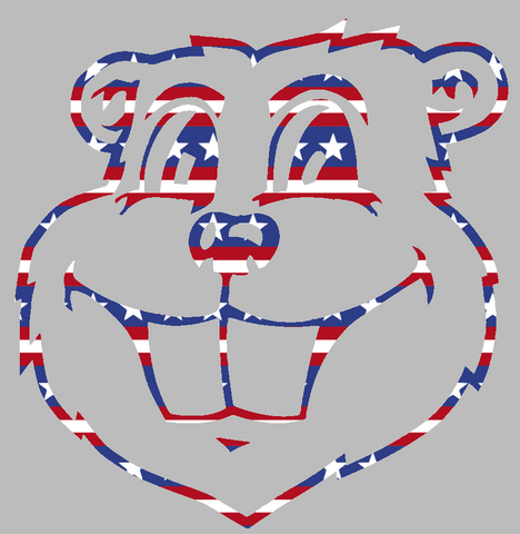 Minnesota Golden Gophers Goldy Mascot Head Logo Stars & Stripes USA American Flag Vinyl Decal PICK SIZE