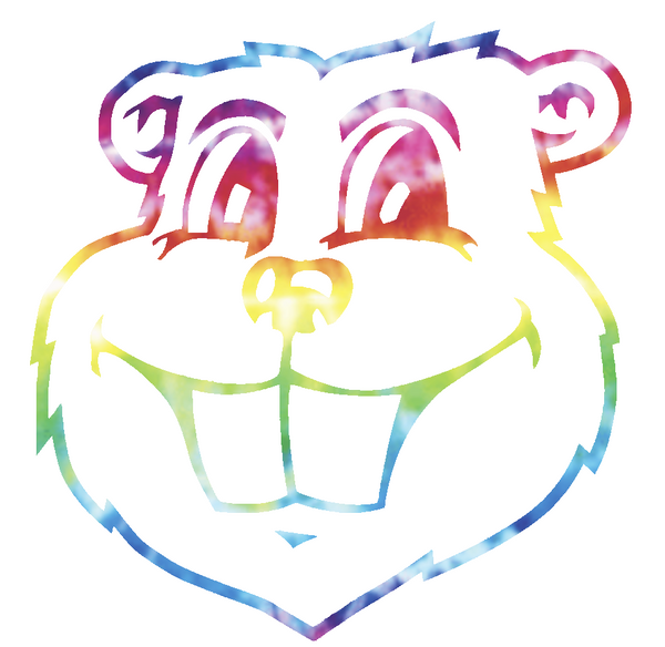 Minnesota Golden Gophers Goldy Mascot Head Logo Crucial Catch Cancer Tie Dye Vinyl Decal PICK SIZE