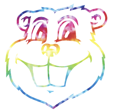 Minnesota Golden Gophers Goldy Mascot Head Logo Crucial Catch Cancer Tie Dye Vinyl Decal PICK SIZE