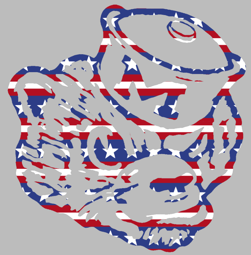 Michigan Wolverines Retro Throwback Logo Stars & Stripes USA American Flag Vinyl Decal PICK SIZE