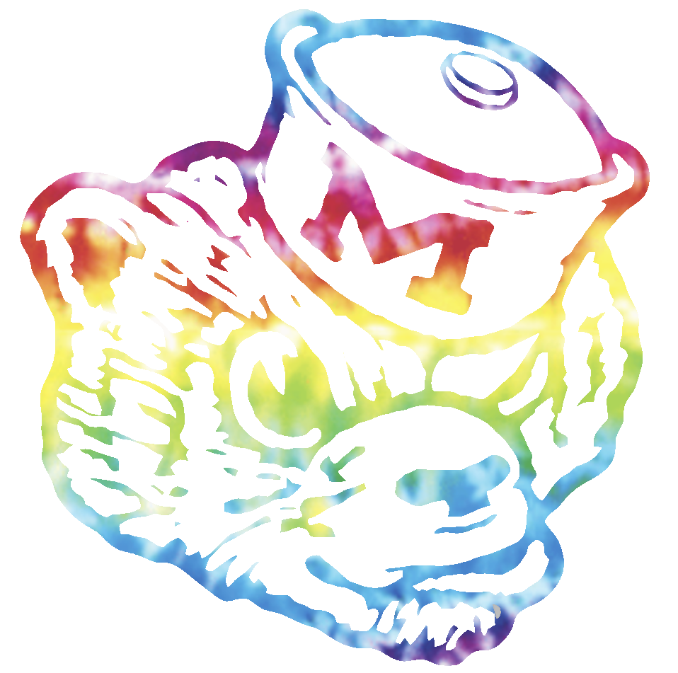 Michigan Wolverines Retro Throwback Logo Crucial Catch Cancer Tie Dye Vinyl Decal PICK SIZE