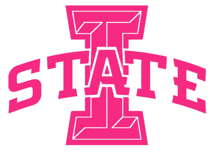 Iowa State Cyclones HOT PINK Team Logo Premium DieCut Vinyl Decal PICK SIZE