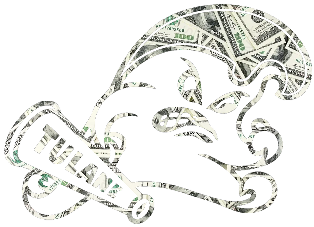 Tulane Green Wave Team Logo Money Print Premium DieCut Vinyl Decal PICK SIZE